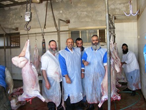 שחיטה עופות ובהמות